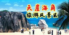 调教Sm操逼视频囯产板海南三亚-天崖海角旅游风景区